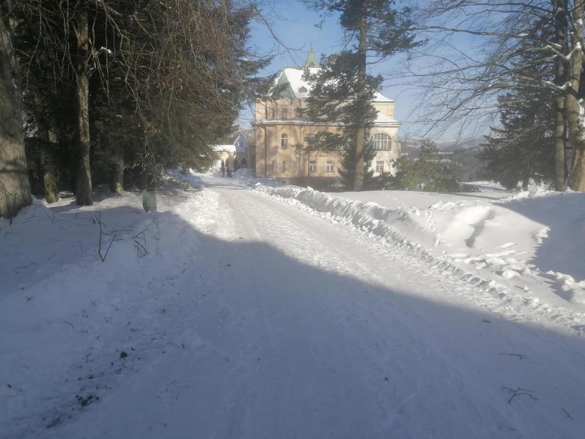 Hotel Vetrov Vysoké nad Jizerou Екстериор снимка
